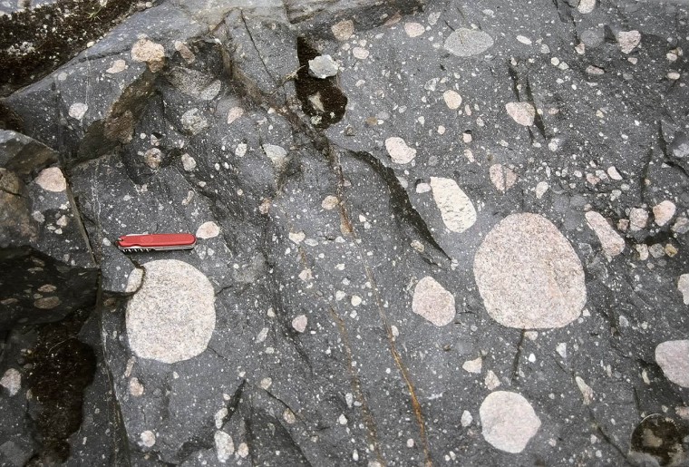Diamictite from the Palaoproterozoic Gowganda Formation in Ontario Canada (credit: Candian Sedimentology Research Group)