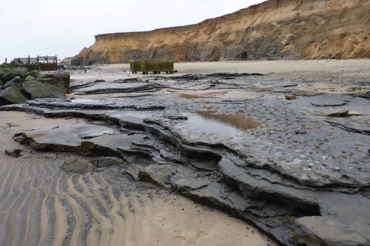 Coastal exposure of Pleistocene laminated sediments at Happisburgh (credit: Ashton et a. 2014 PLOS1)